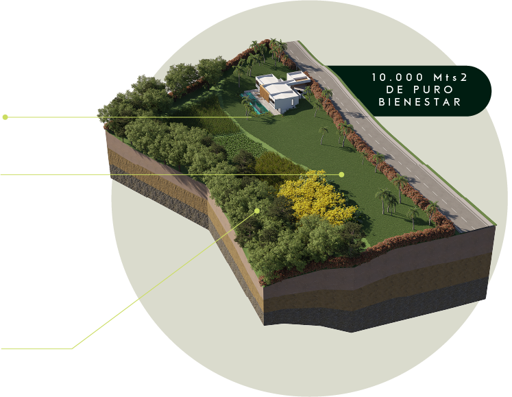 Mapa de ubicación